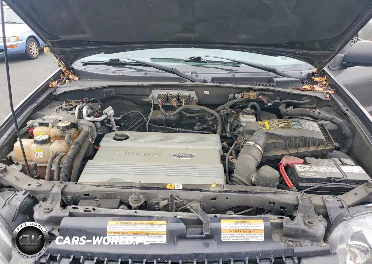2006 Ford Escape Hev VIN:1FMCU95H46KC06113 - 12