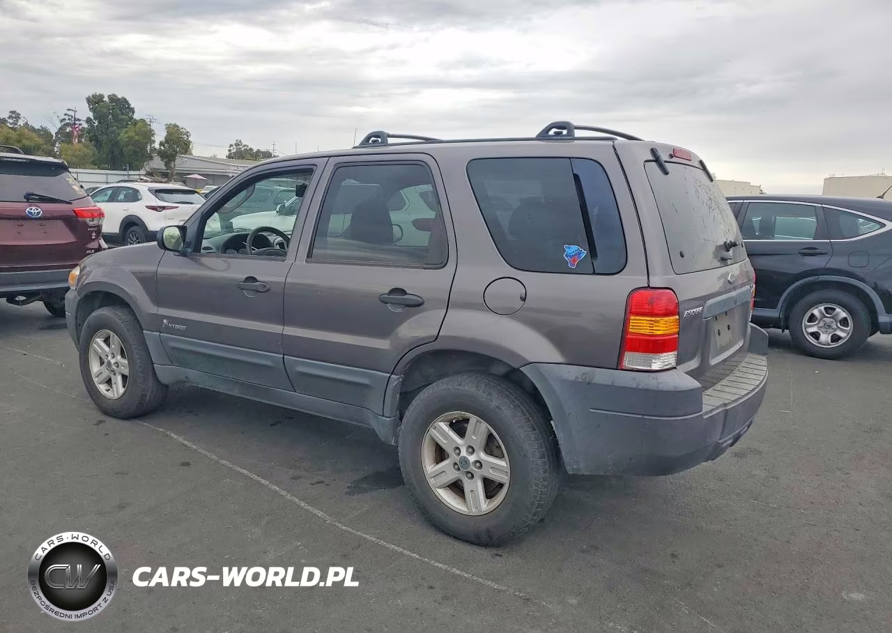 2006 Ford Escape Hev VIN:1FMCU95H46KC06113 - 2