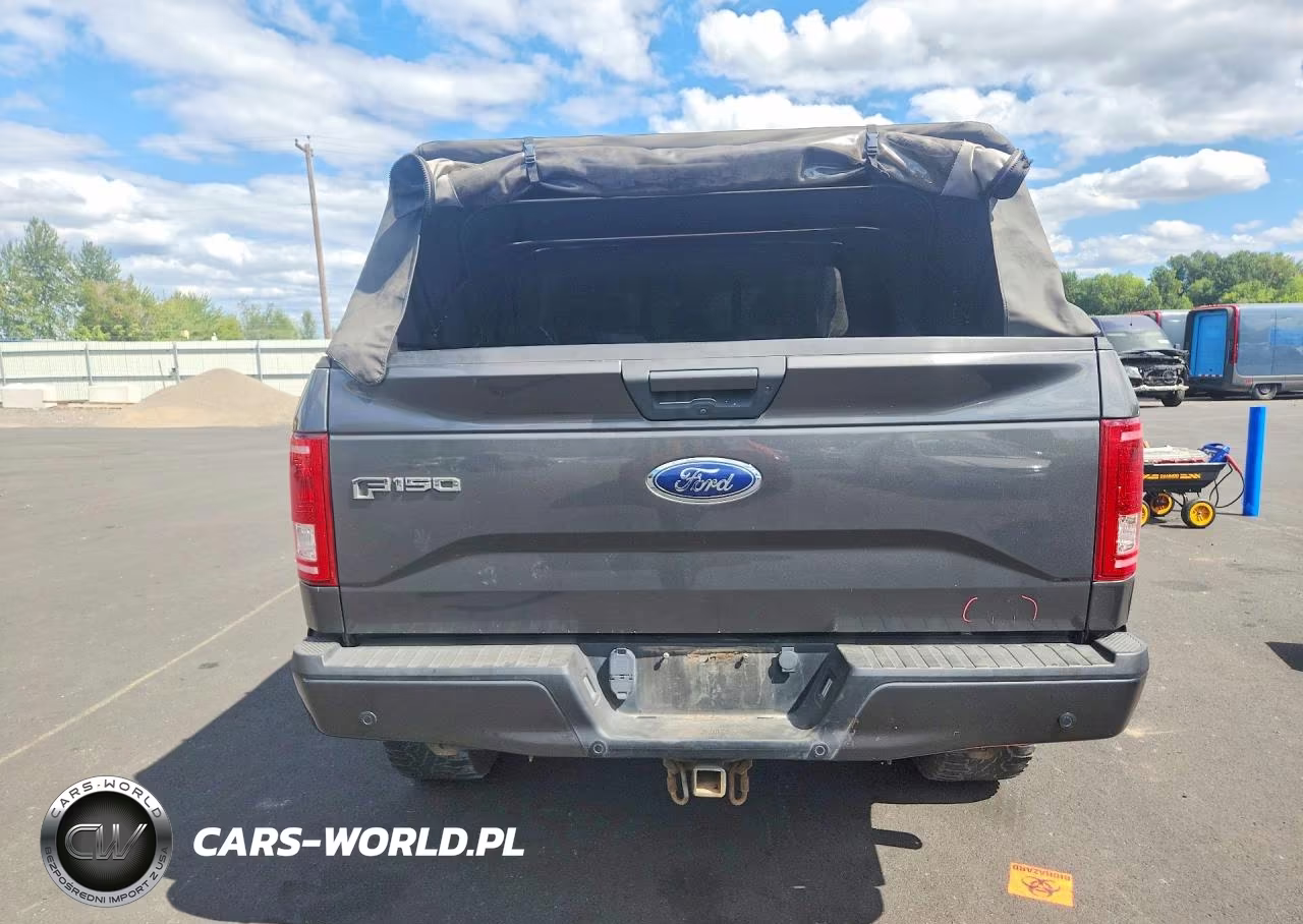 2017 Ford F150 Supercrew VIN:1FTEW1EG4HKE30579 - 6