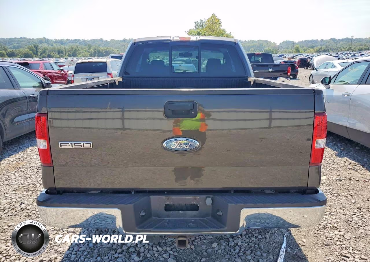 2006 Ford F150 VIN:1FTPX14V36NB26354 - 6