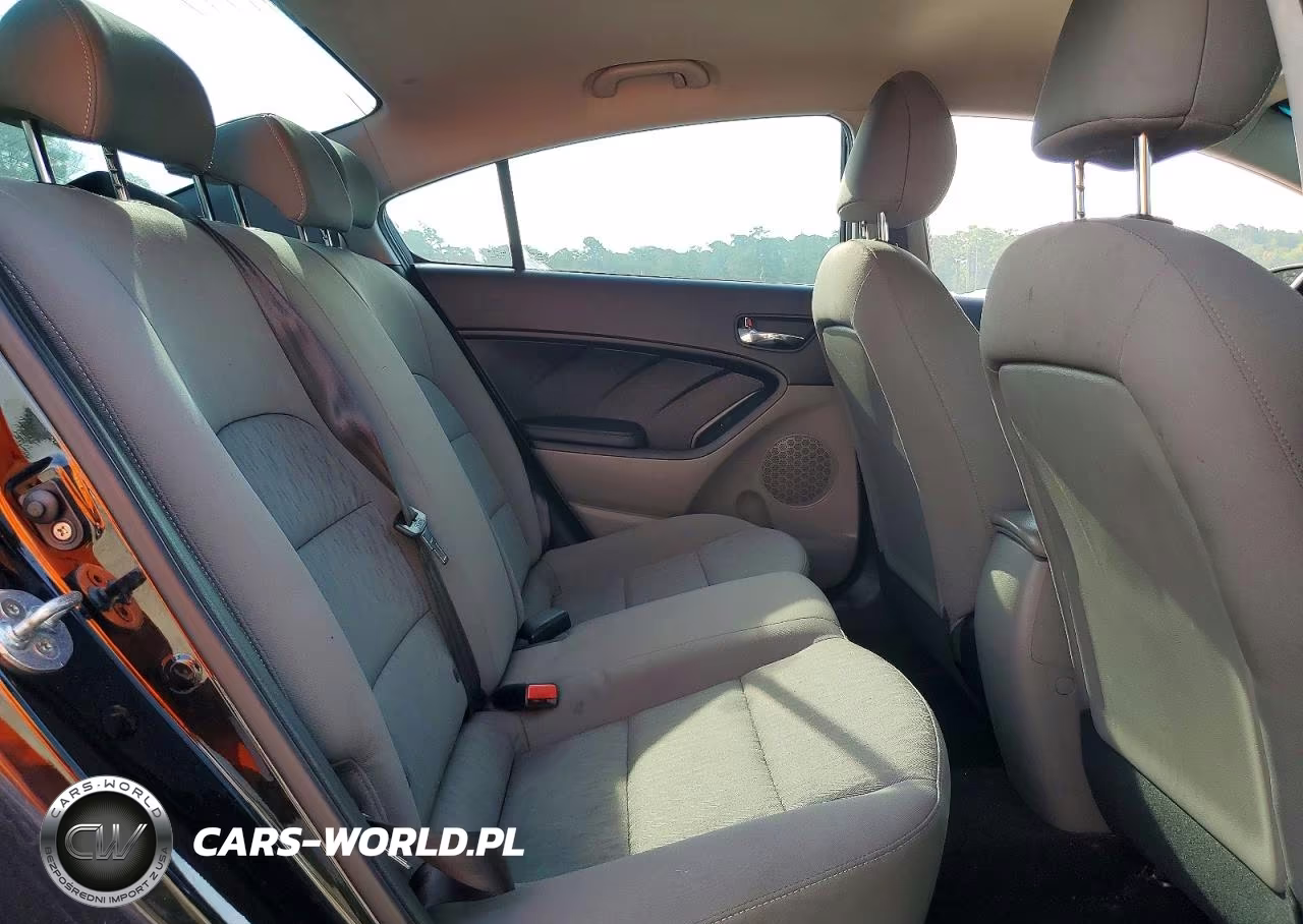 2016 Kia Forte Lx VIN:KNAFK4A6XG5536513 - 10