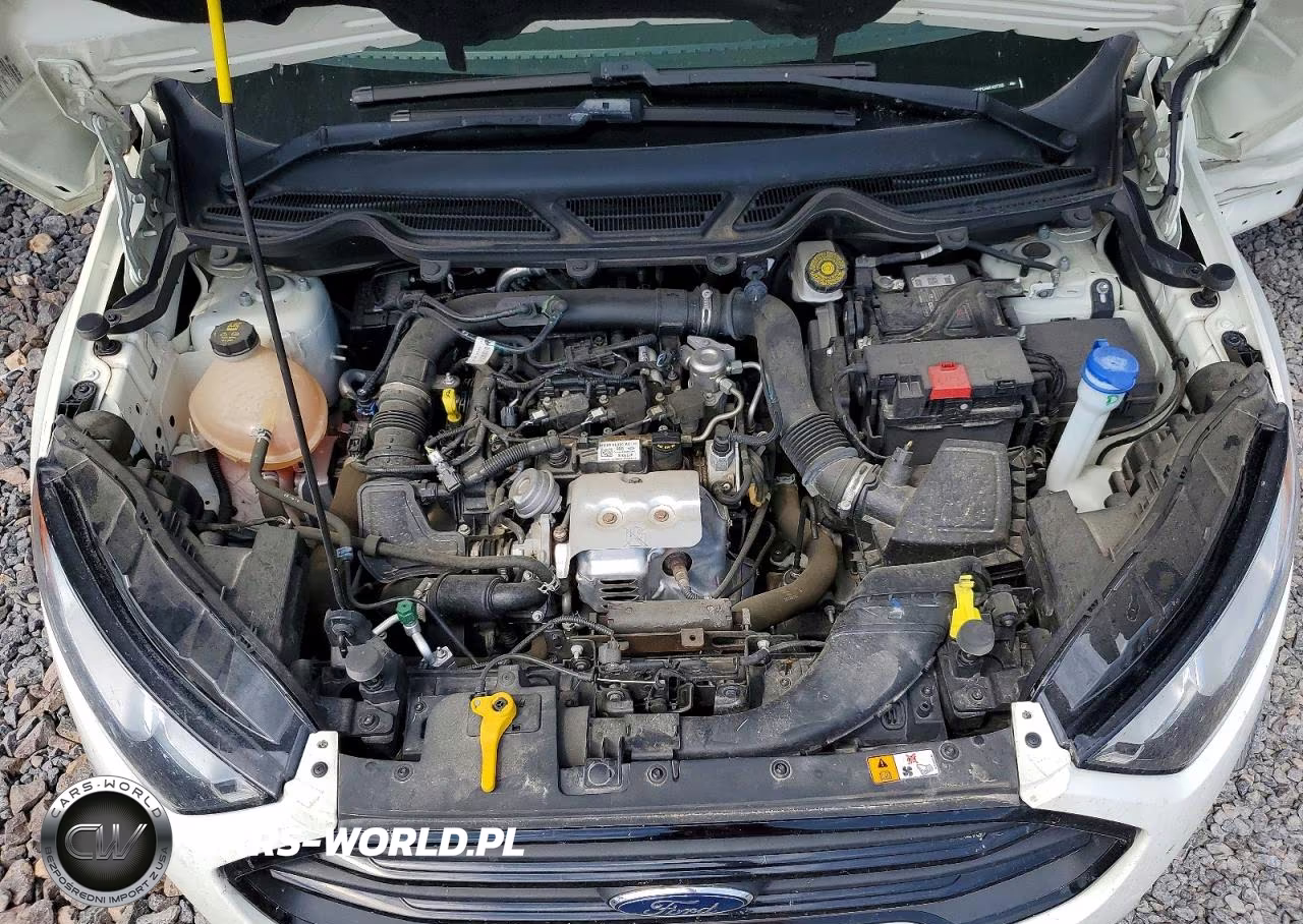 2021 Ford Ecosport S VIN:MAJ3S2FE4MC427326 - 12