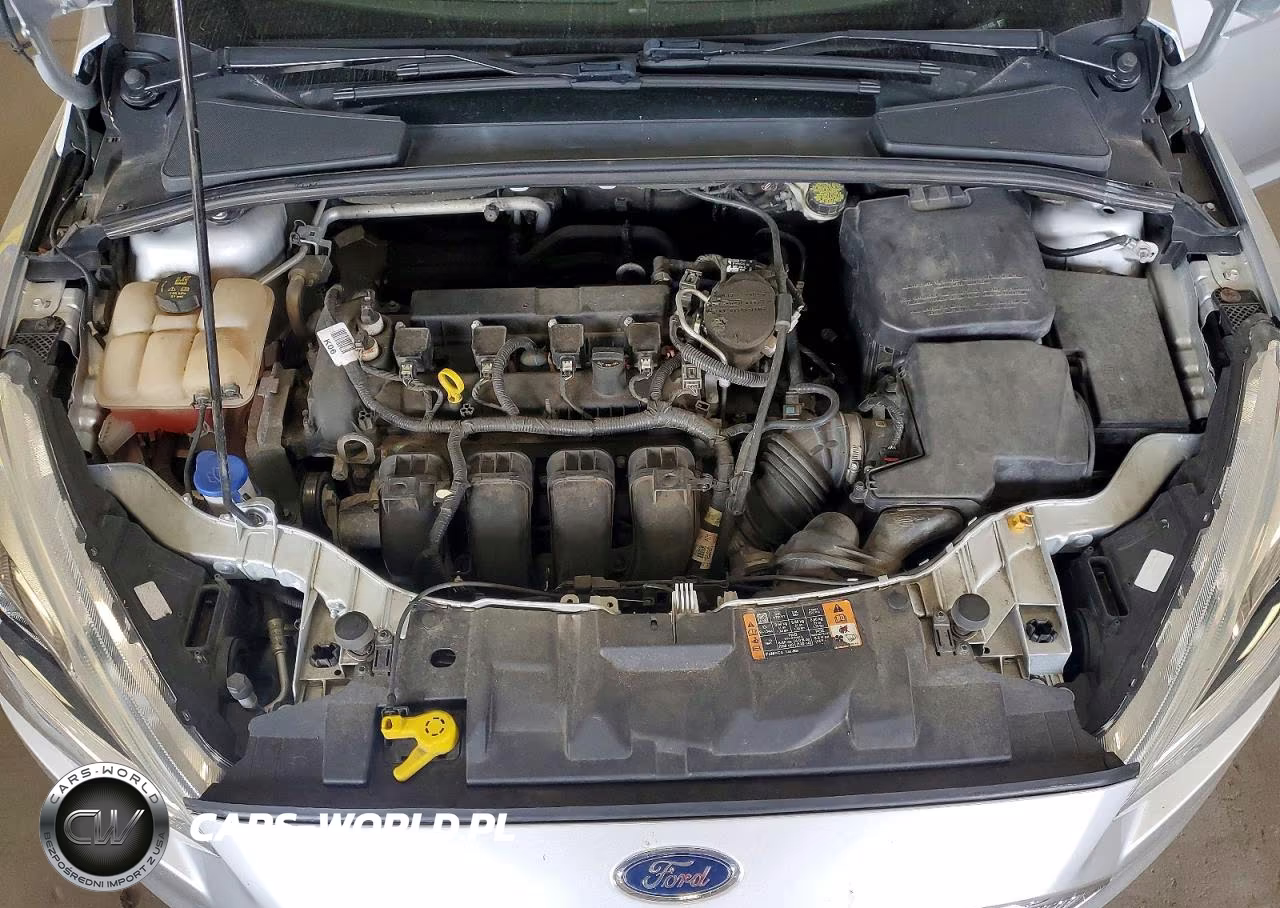2016 Ford Focus Titanium VIN:1FADP3N20GL307465 - 11