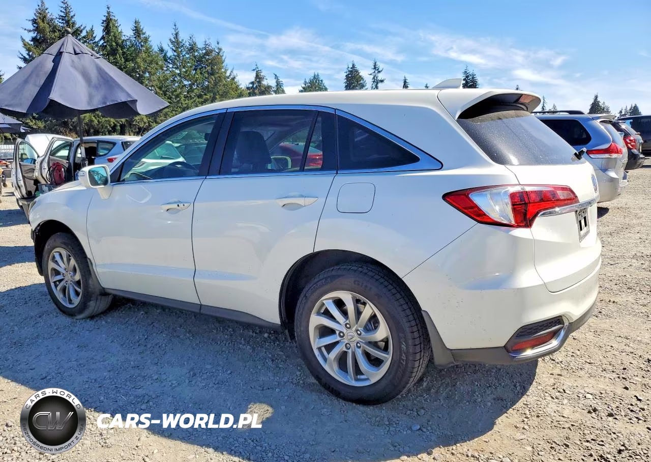 2017 Acura Rdx Technology VIN:5J8TB4H52HL022124 - 2
