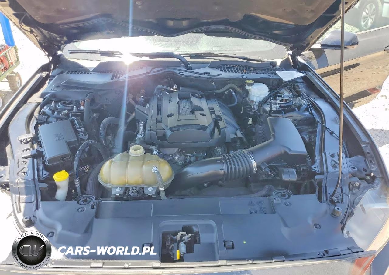 2019 Ford Mustang VIN:1FA6P8THXK5187880 - 11