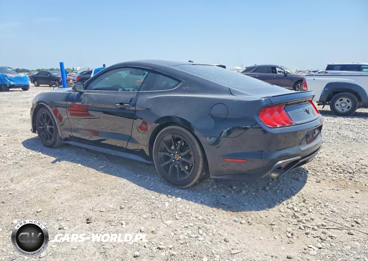 2019 Ford Mustang VIN:1FA6P8THXK5187880 - 2