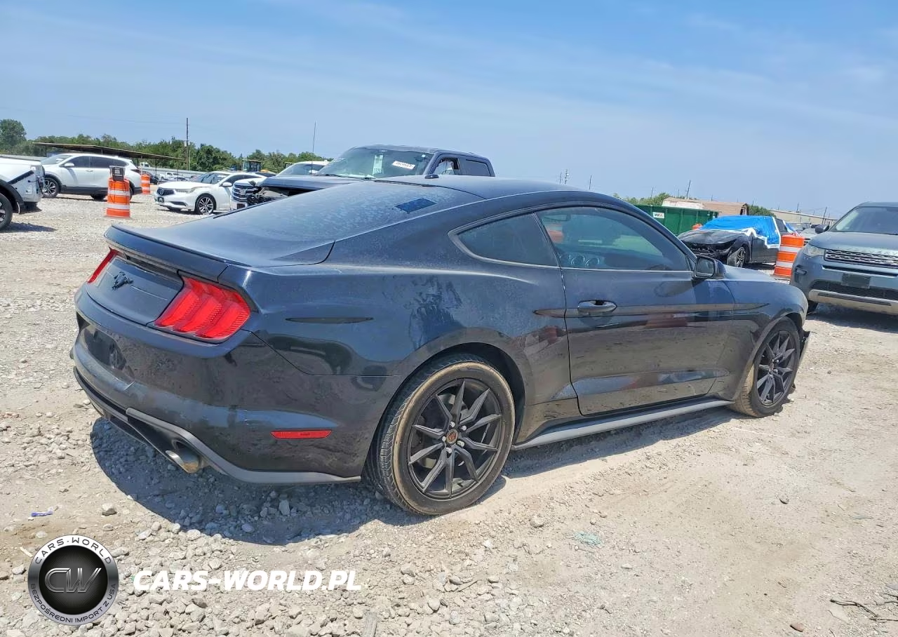 2019 Ford Mustang VIN:1FA6P8THXK5187880 - 3