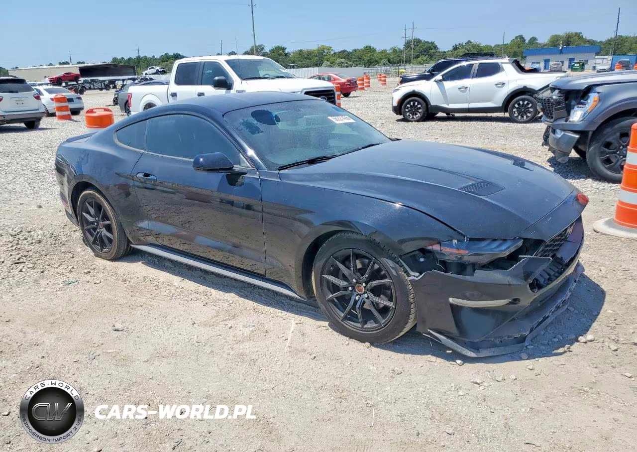 2019 Ford Mustang VIN:1FA6P8THXK5187880 - 4