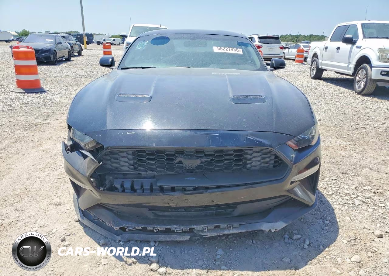 2019 Ford Mustang VIN:1FA6P8THXK5187880 - 5