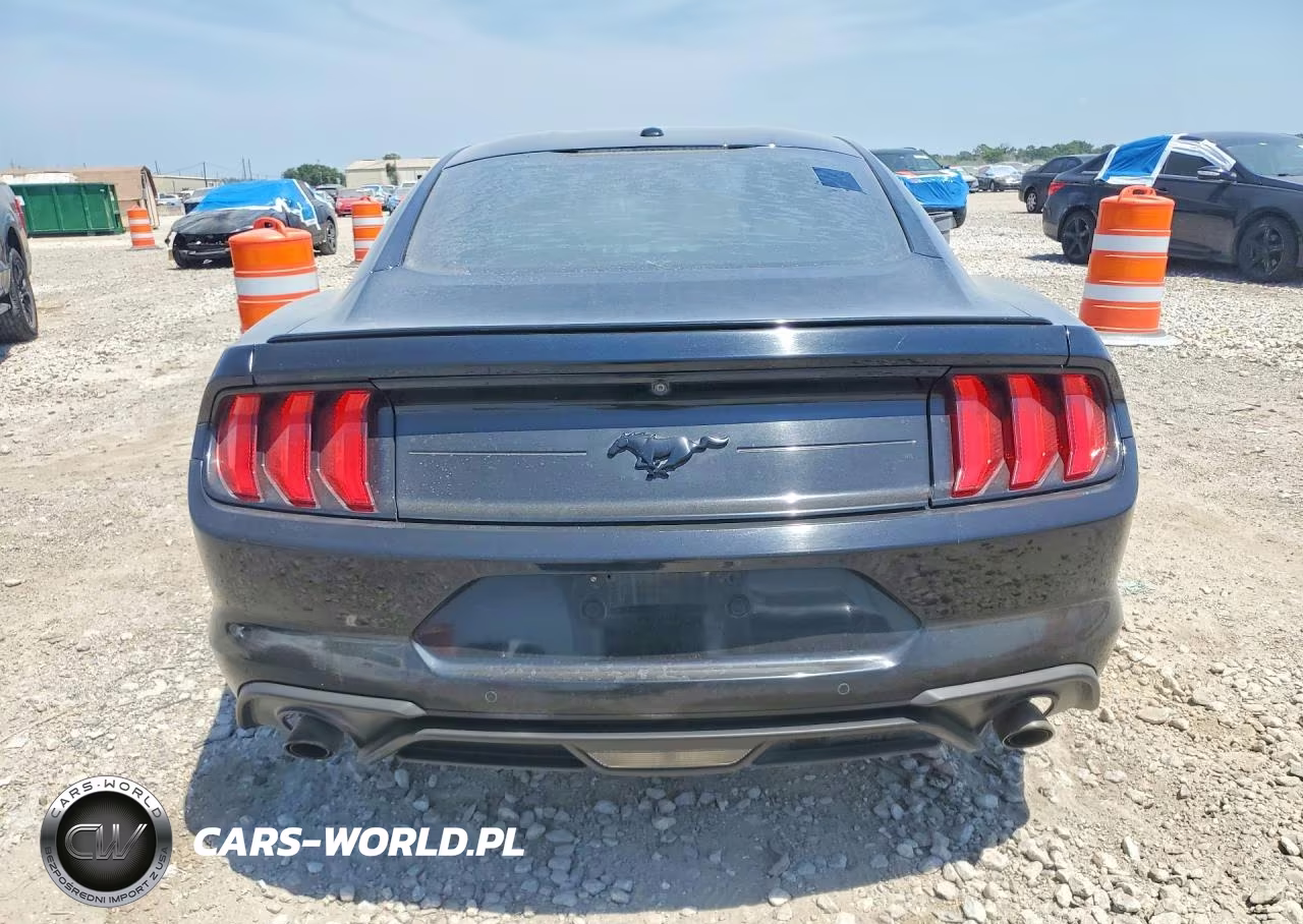 2019 Ford Mustang VIN:1FA6P8THXK5187880 - 6