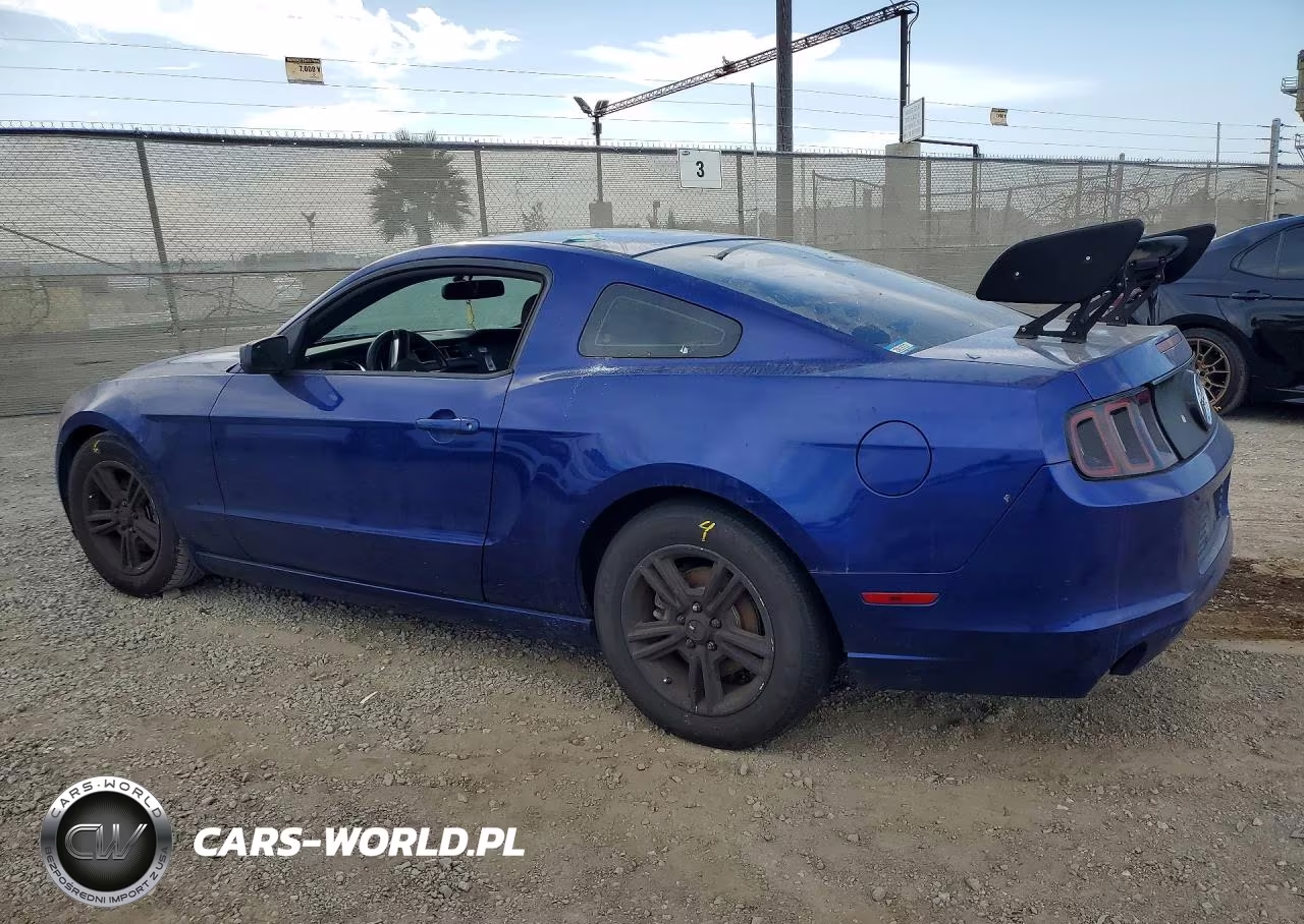 2014 Ford Mustang VIN:1ZVBP8AM0E5262872 - 2