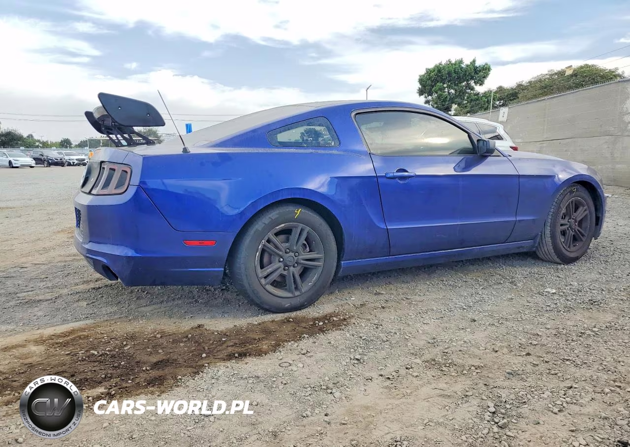 2014 Ford Mustang VIN:1ZVBP8AM0E5262872 - 3