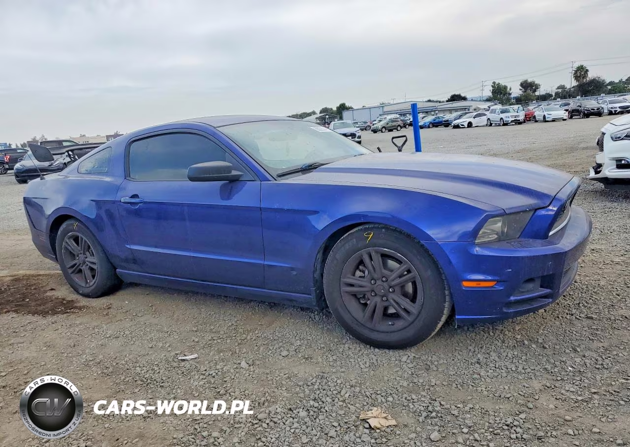 2014 Ford Mustang VIN:1ZVBP8AM0E5262872 - 4