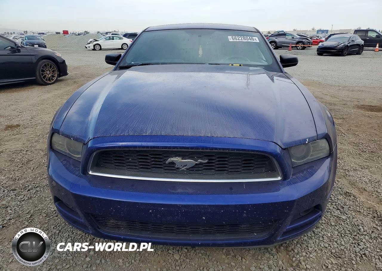 2014 Ford Mustang VIN:1ZVBP8AM0E5262872 - 5