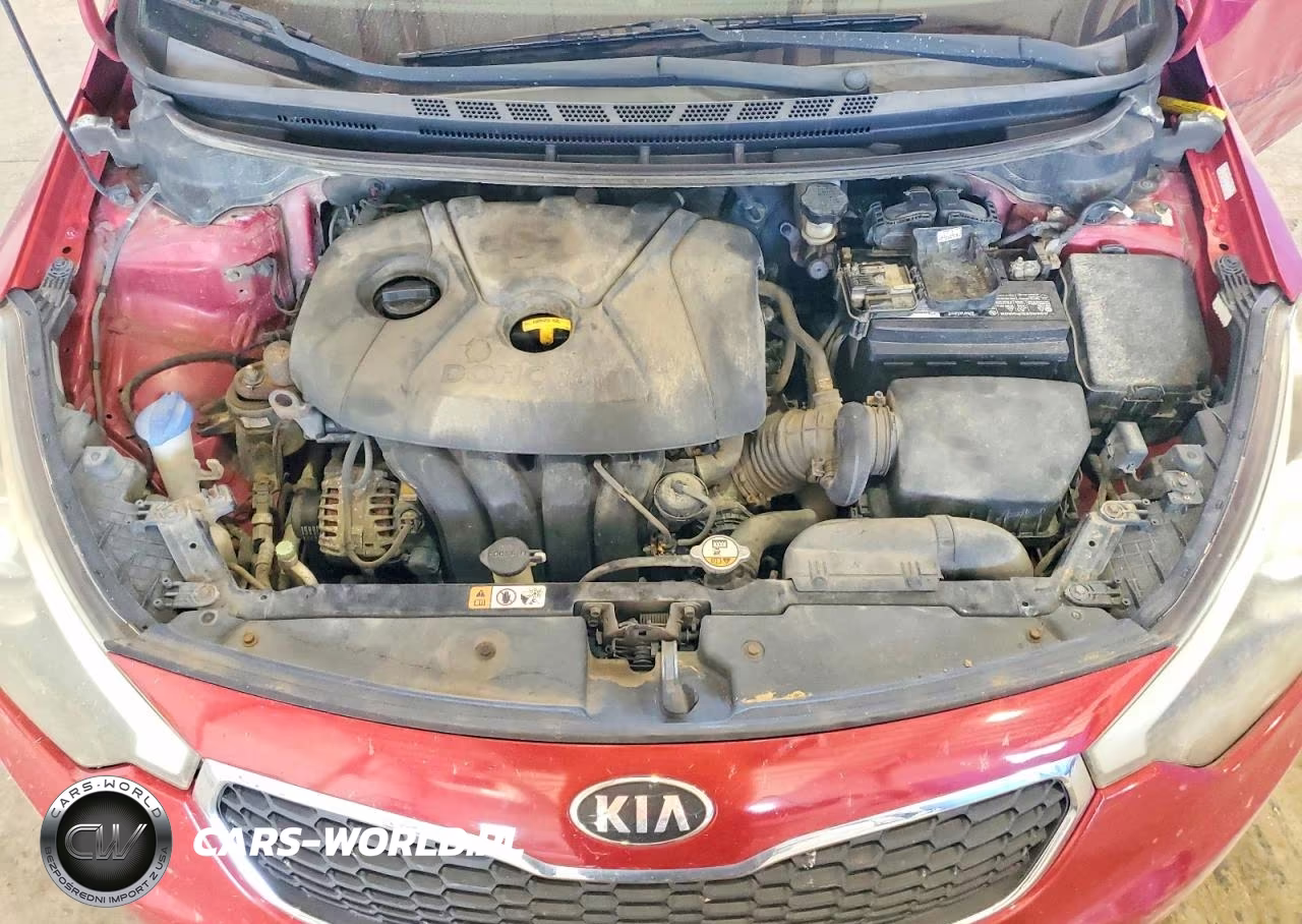 2014 Kia Forte Lx VIN:KNAFX4A67E5140053 - 11
