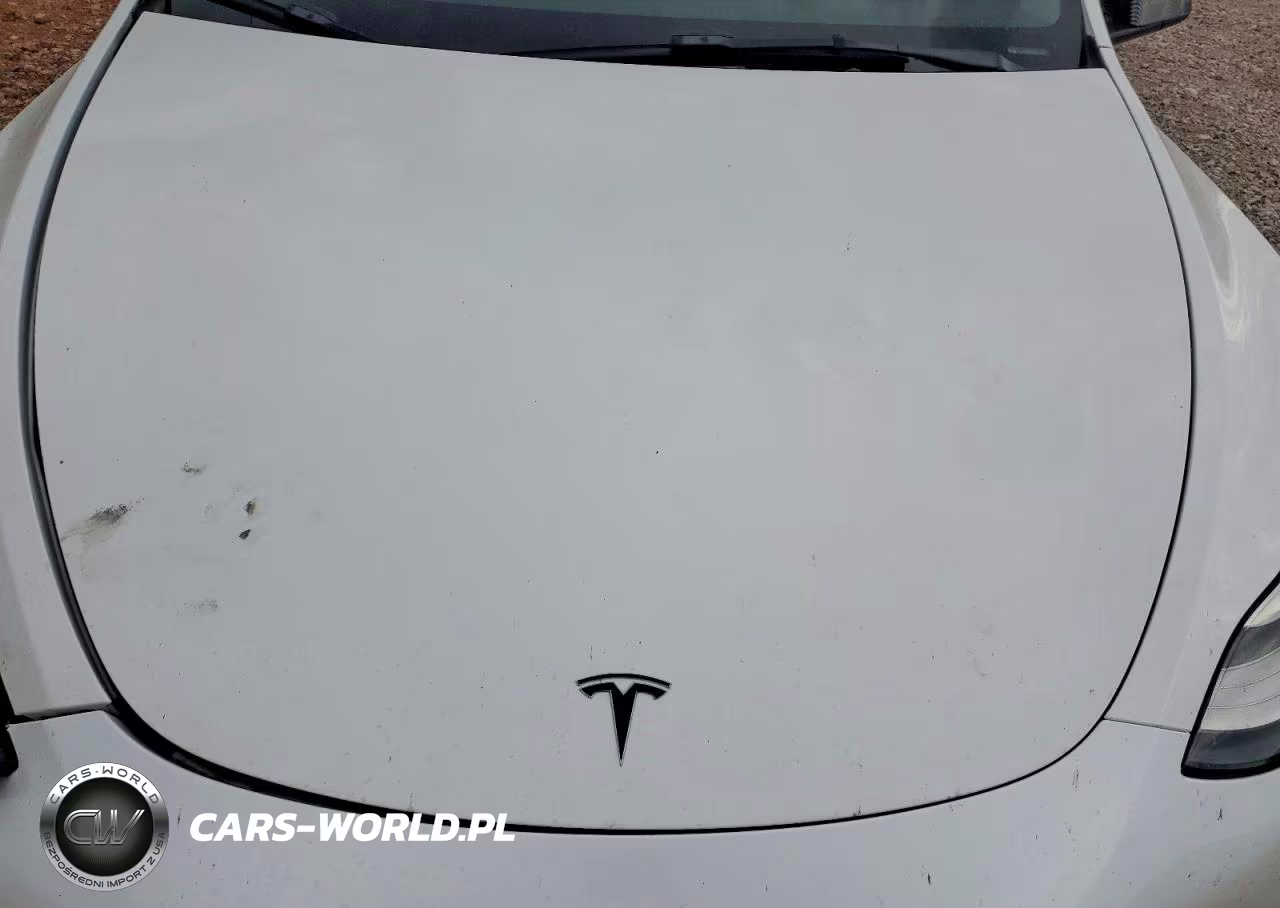 2021 Tesla Model Y VIN:5YJYGDEE4MF185798 - 11