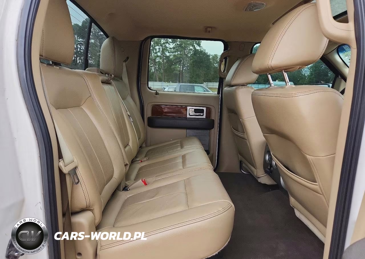 2010 Ford F150 VIN:1FTFW1EVXAFD84449 - 10
