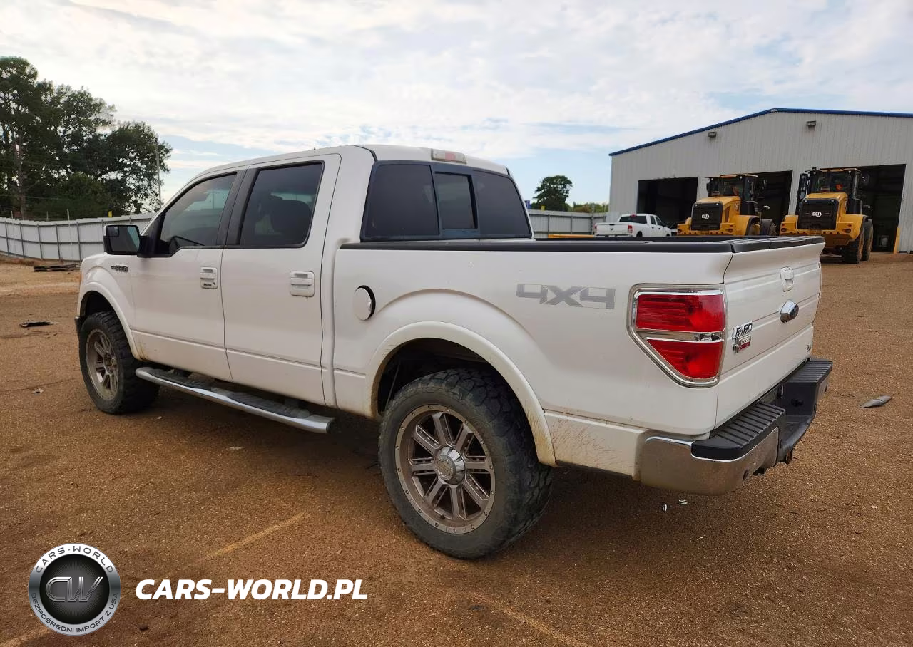 2010 Ford F150 VIN:1FTFW1EVXAFD84449 - 2