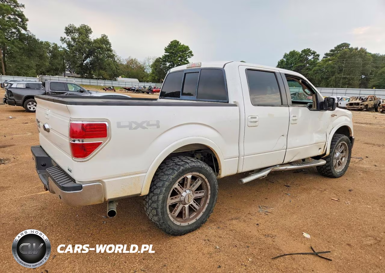 2010 Ford F150 VIN:1FTFW1EVXAFD84449 - 3