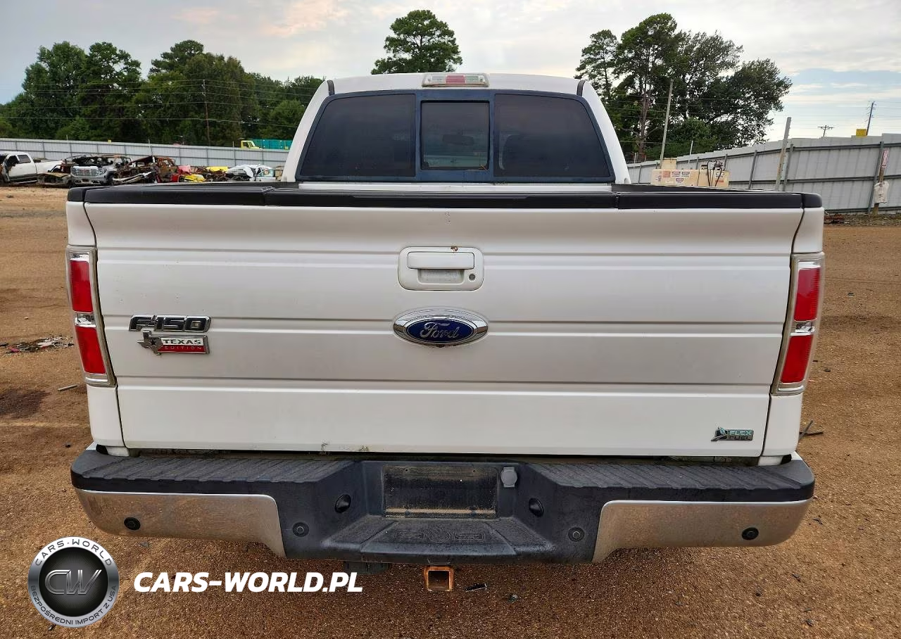 2010 Ford F150 VIN:1FTFW1EVXAFD84449 - 6