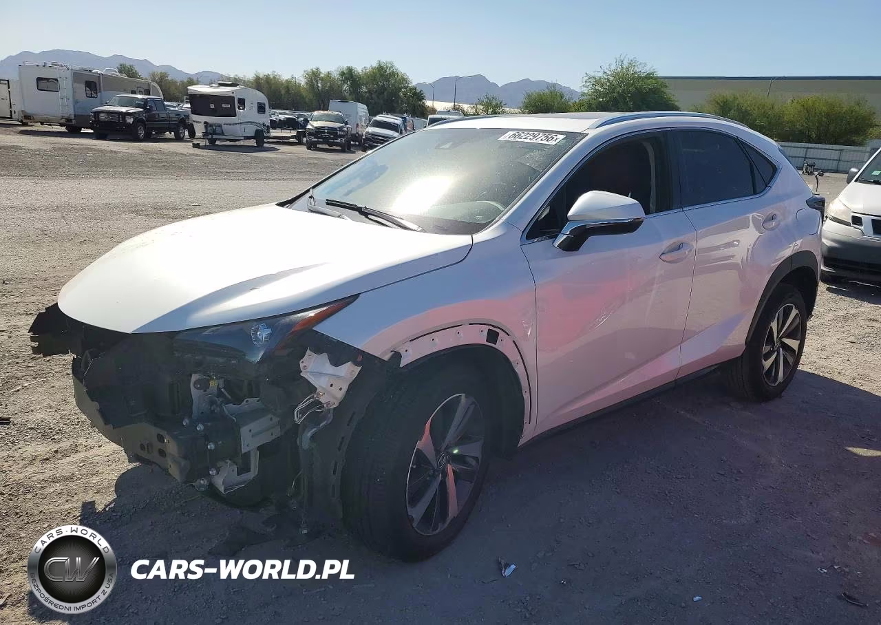 2020 Lexus Nx 300 VIN:JTJGARDZXL2221135 - 1