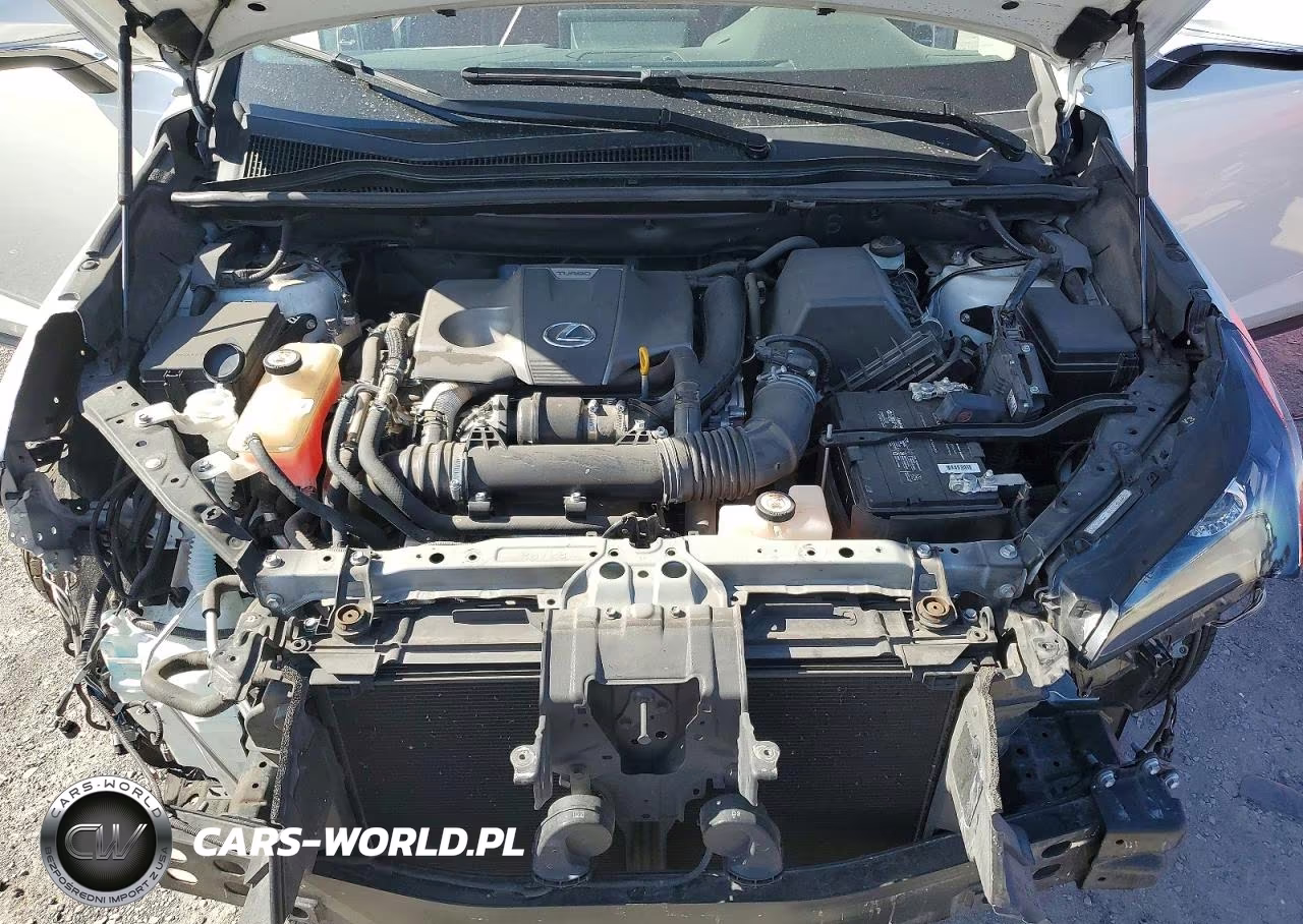 2020 Lexus Nx 300 VIN:JTJGARDZXL2221135 - 11