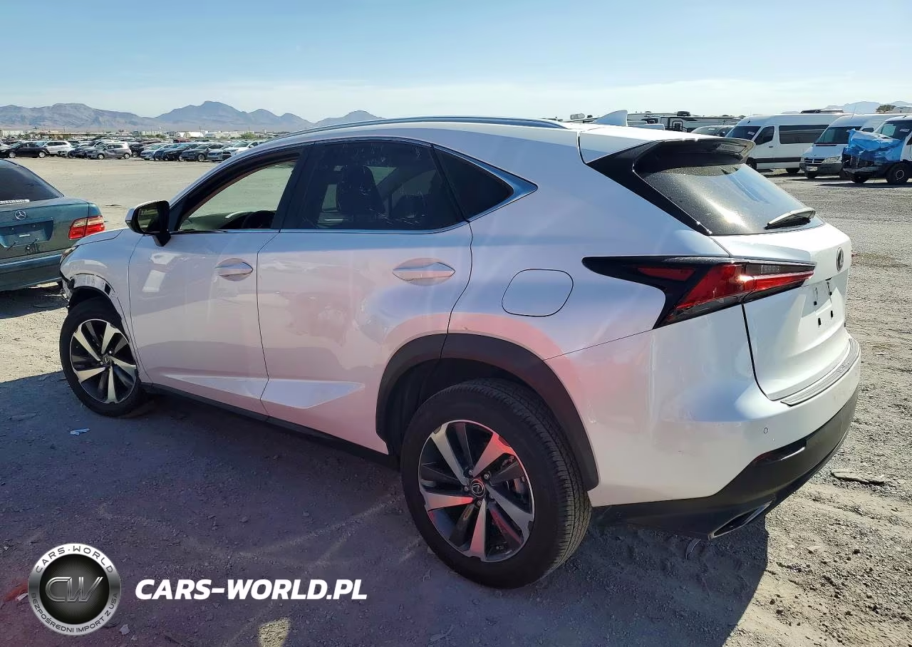 2020 Lexus Nx 300 VIN:JTJGARDZXL2221135 - 2