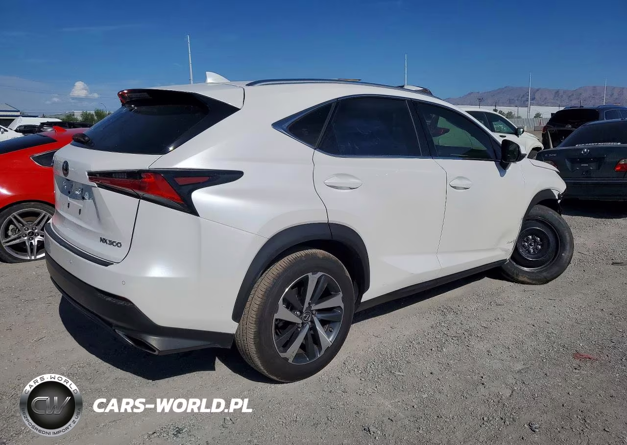 2020 Lexus Nx 300 VIN:JTJGARDZXL2221135 - 3