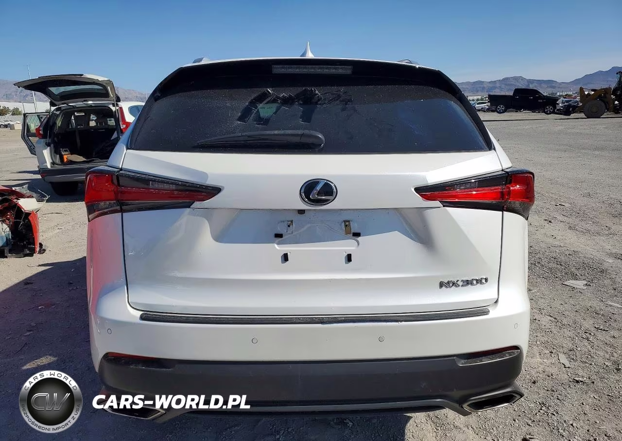 2020 Lexus Nx 300 VIN:JTJGARDZXL2221135 - 6