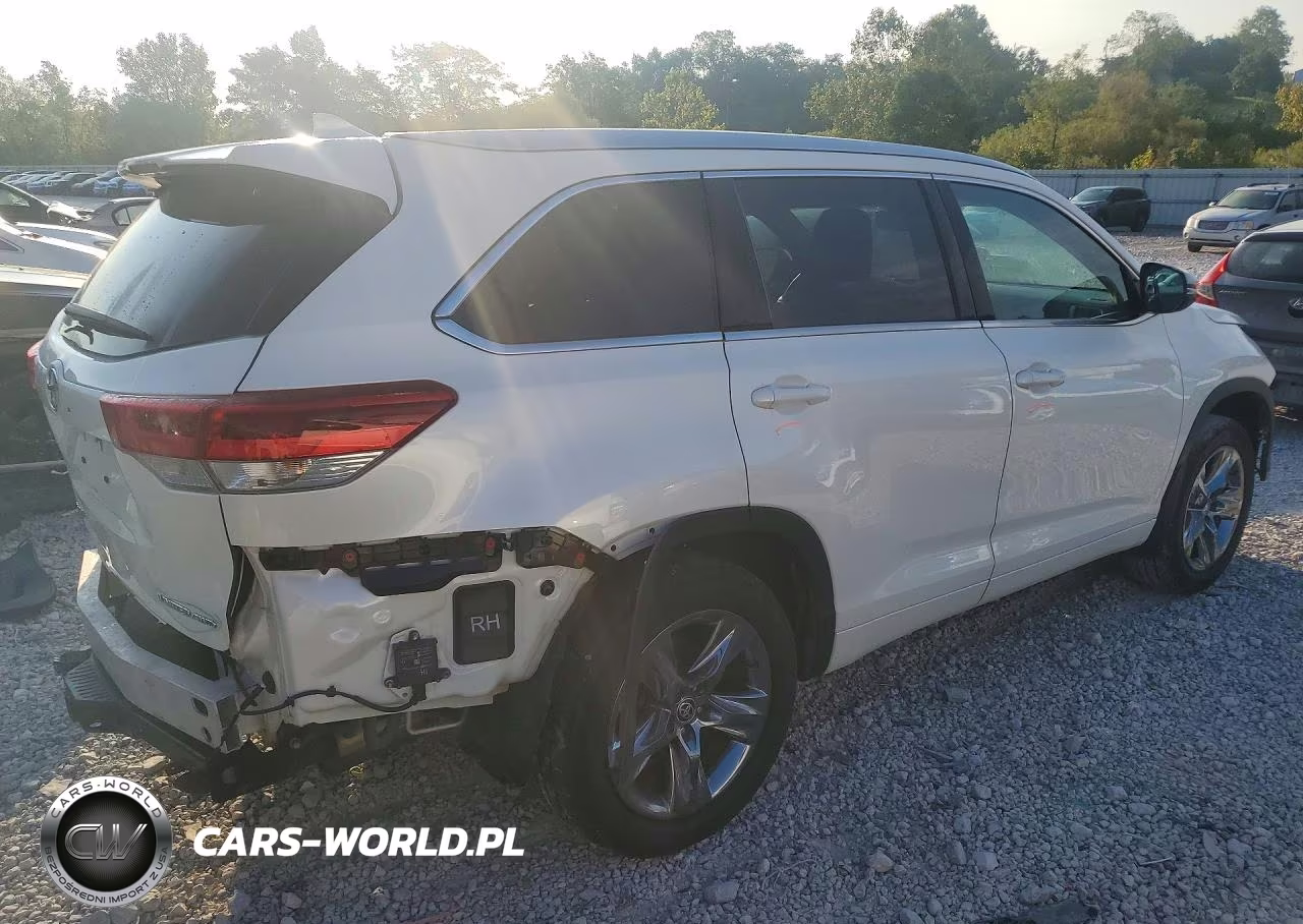 2019 Toyota Highlander Limited Platinum VIN:5TDDZRFH0KS744092 - 3