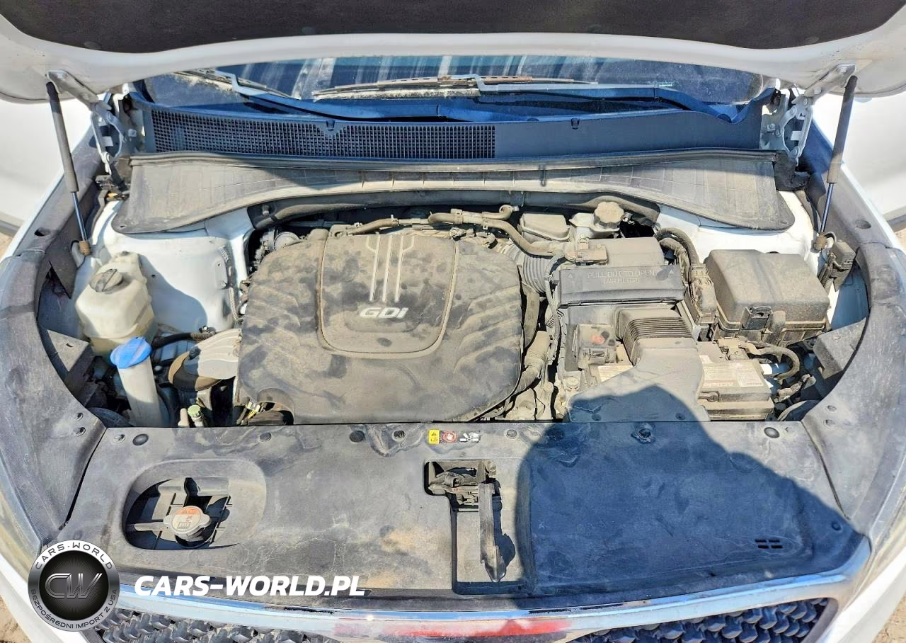 2017 Kia Sorento Lx V6 VIN:5XYPGDA53HG224056 - 12