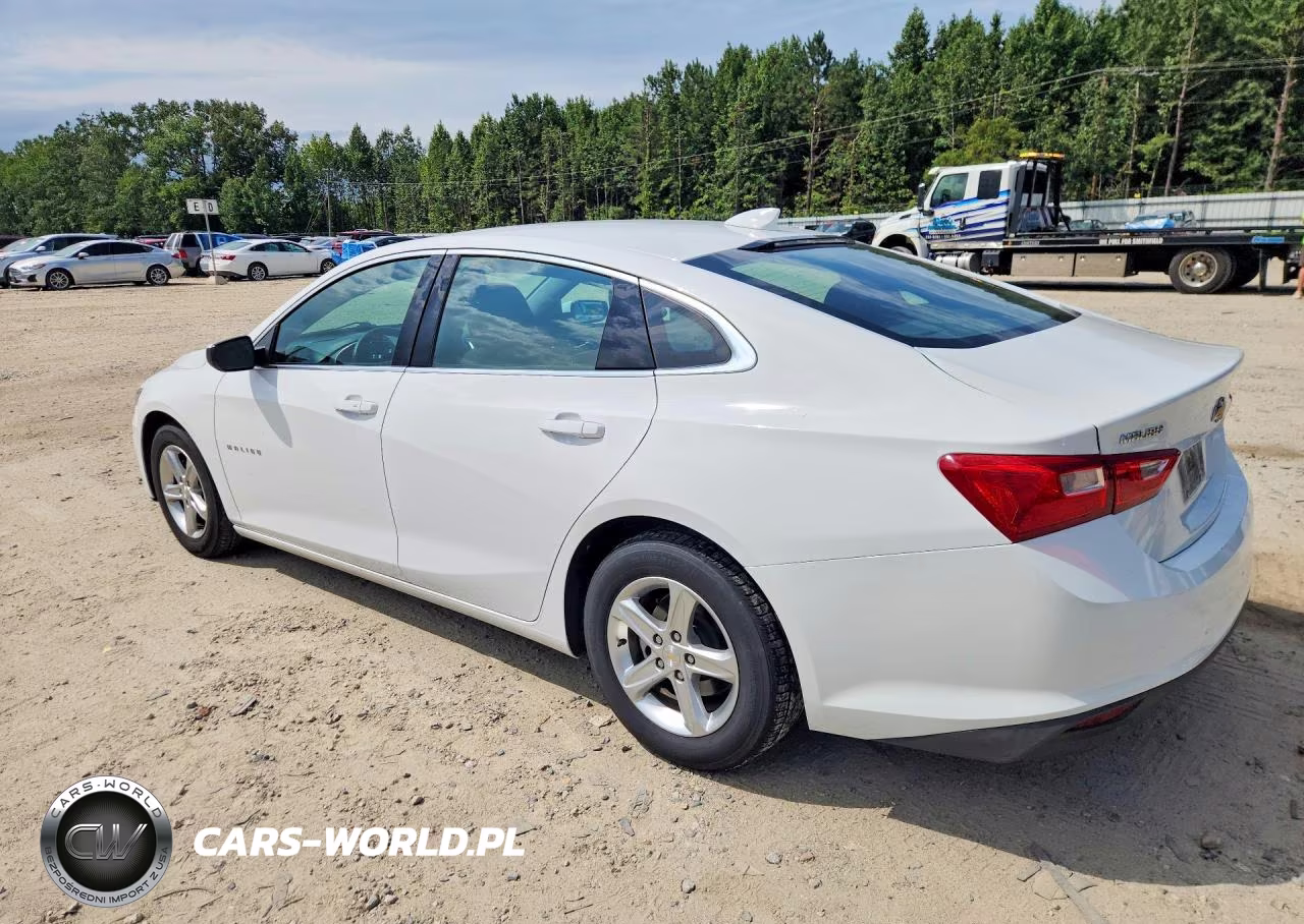 2023 Chevrolet Malibu Lt VIN:1G1ZD5ST0PF175770 - 2