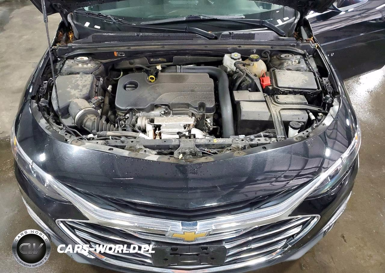 2023 Chevrolet Malibu Lt VIN:1G1ZD5ST0PF181360 - 11