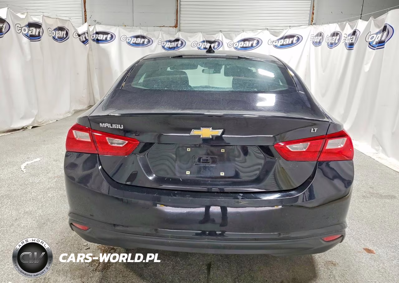 2023 Chevrolet Malibu Lt VIN:1G1ZD5ST0PF181360 - 6