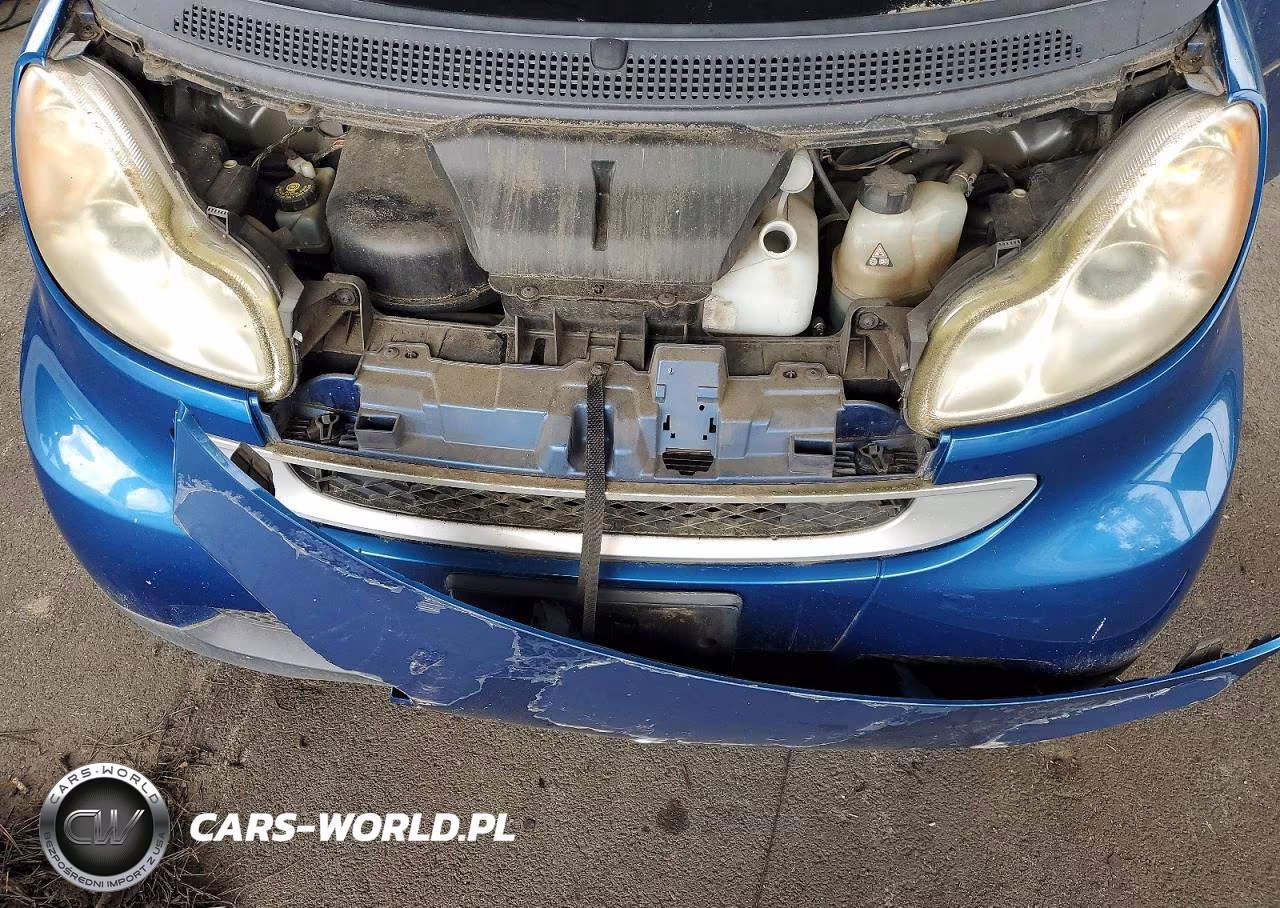 2009 Smart Fortwo Pure VIN:WMEEJ31X29K251234 - 11