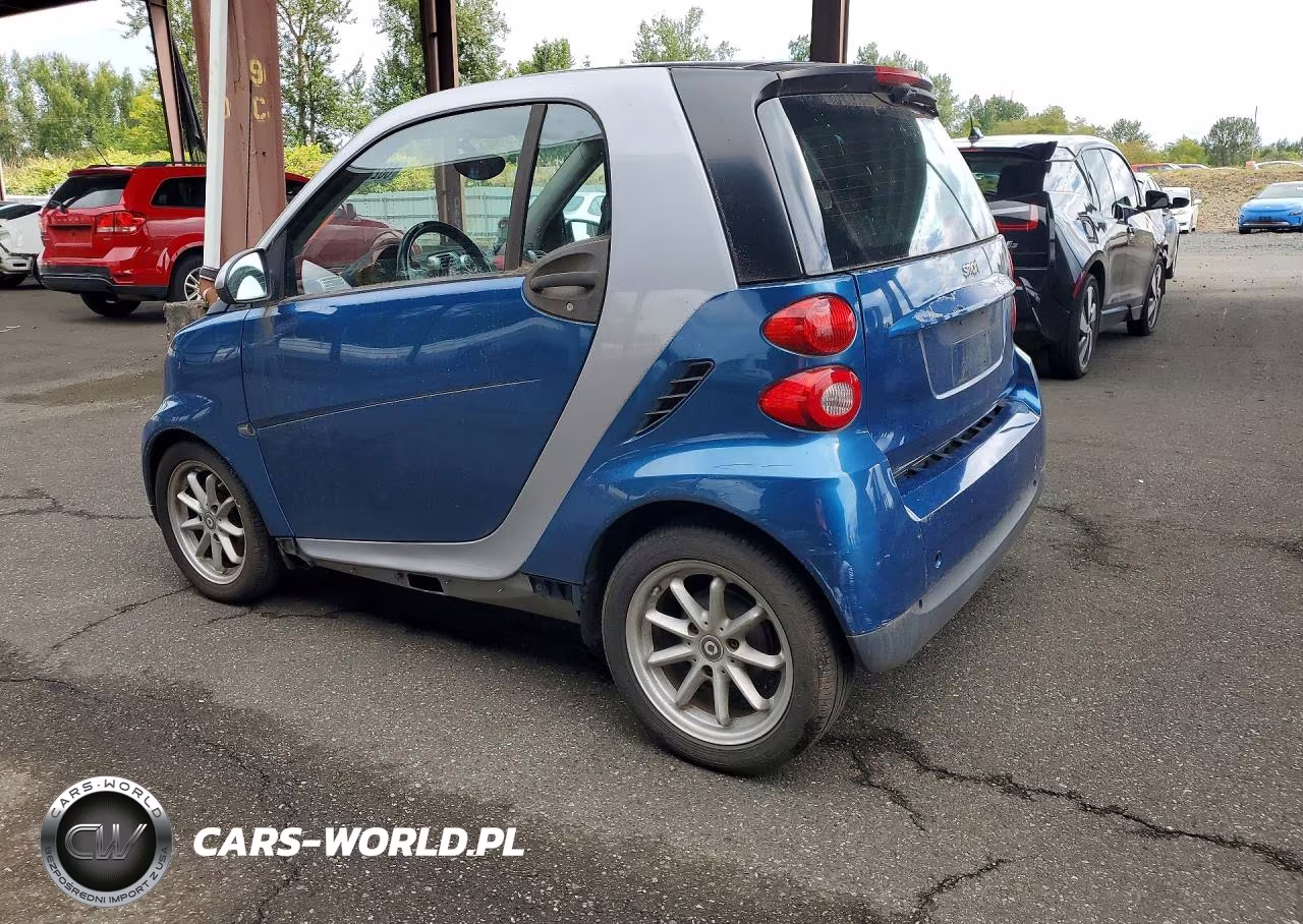 2009 Smart Fortwo Pure VIN:WMEEJ31X29K251234 - 2