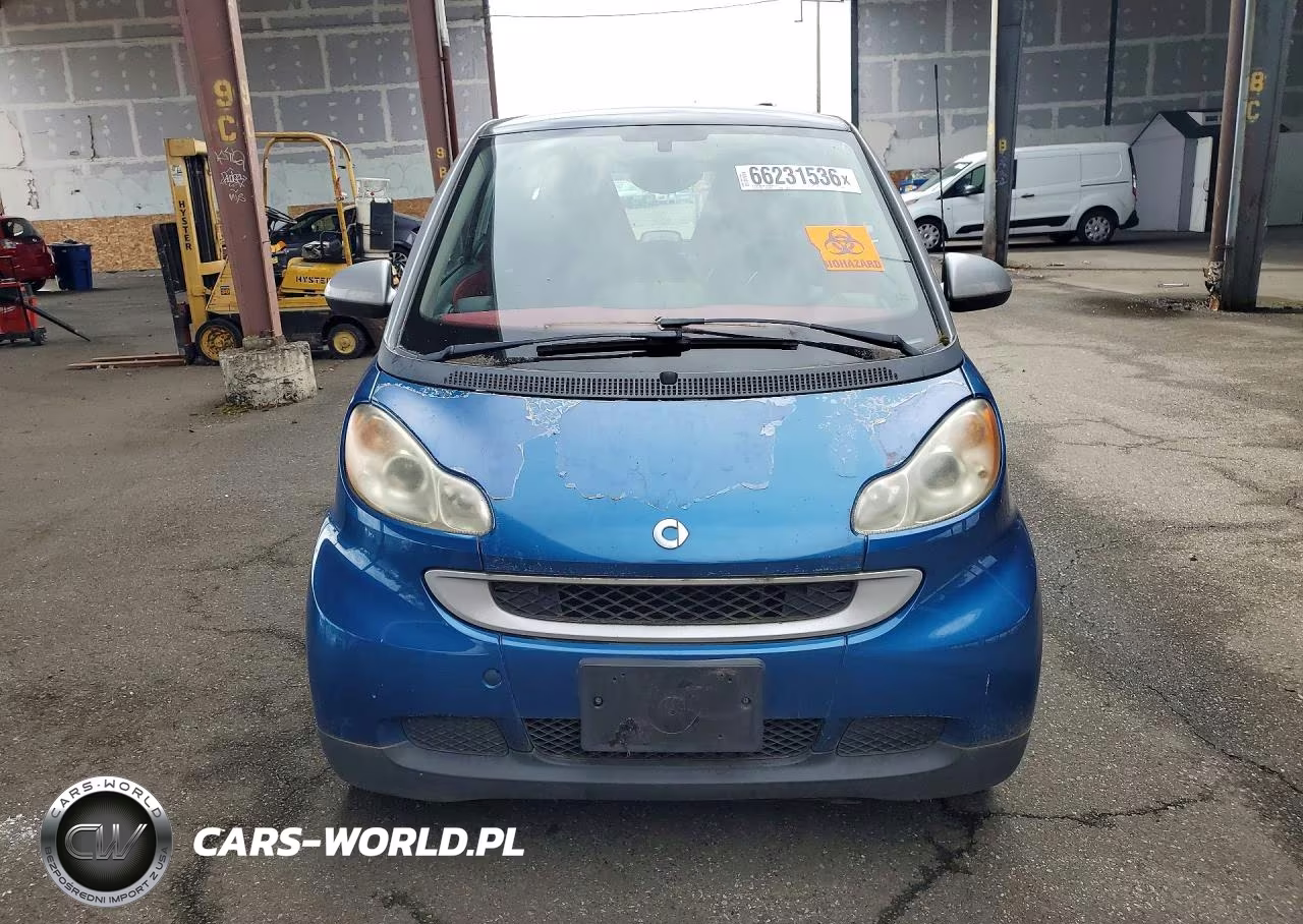 2009 Smart Fortwo Pure VIN:WMEEJ31X29K251234 - 5