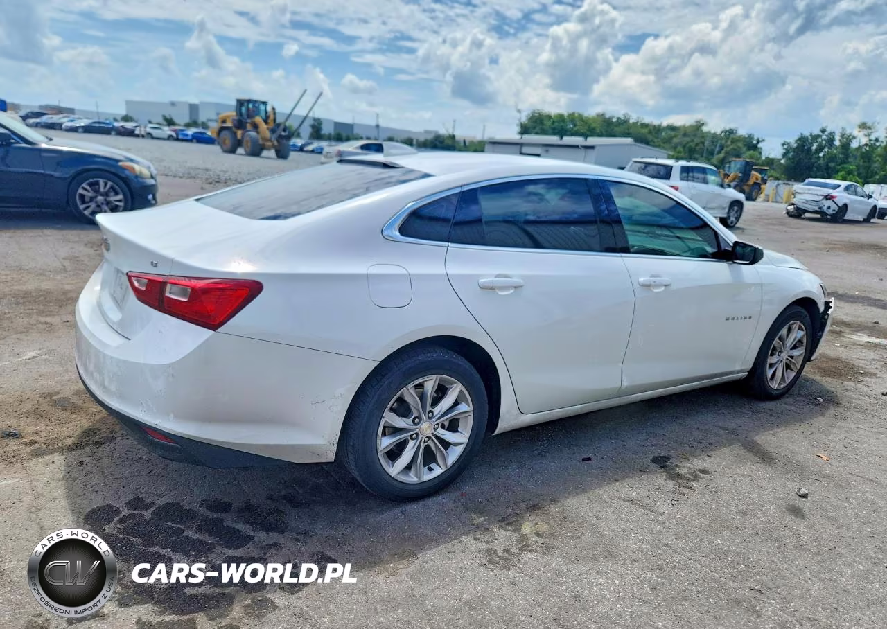 2023 Chevrolet Malibu Lt VIN:1G1ZD5ST5PF177739 - 3