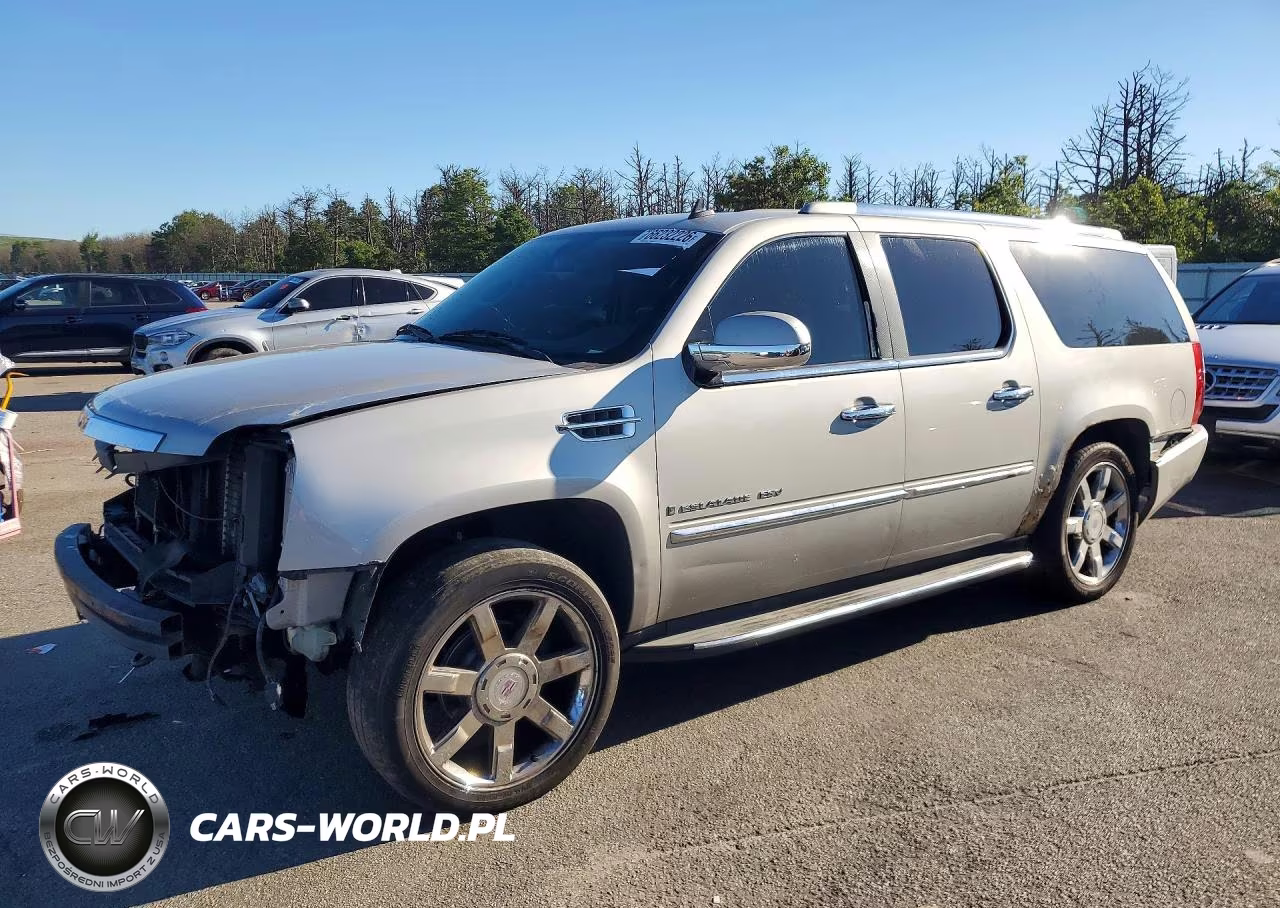 2009 Cadillac Escalade Esv Luxury VIN:1GYFK26219R176549 - 1