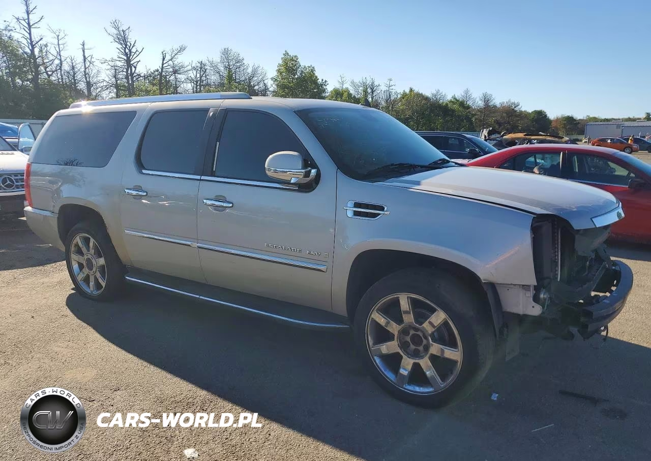 2009 Cadillac Escalade Esv Luxury VIN:1GYFK26219R176549 - 4