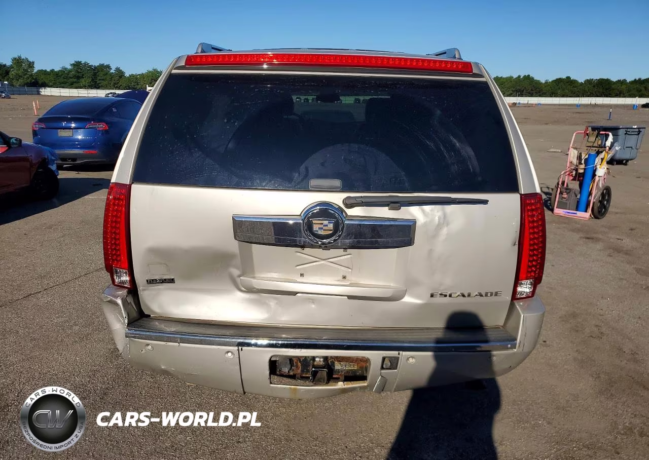 2009 Cadillac Escalade Esv Luxury VIN:1GYFK26219R176549 - 6