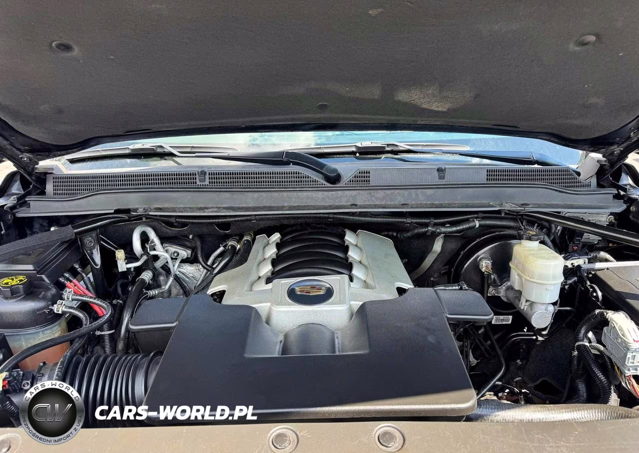 2019 Cadi Escalade E VIN:1GYS4KKJXKR103496 - 11