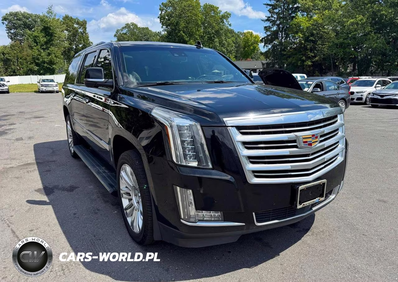 2019 Cadi Escalade E VIN:1GYS4KKJXKR103496 - 4