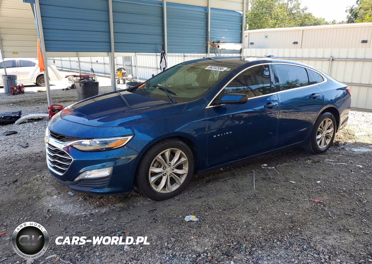 2019 Chevrolet Malibu Lt VIN:1G1ZD5ST0KF180251 - 1