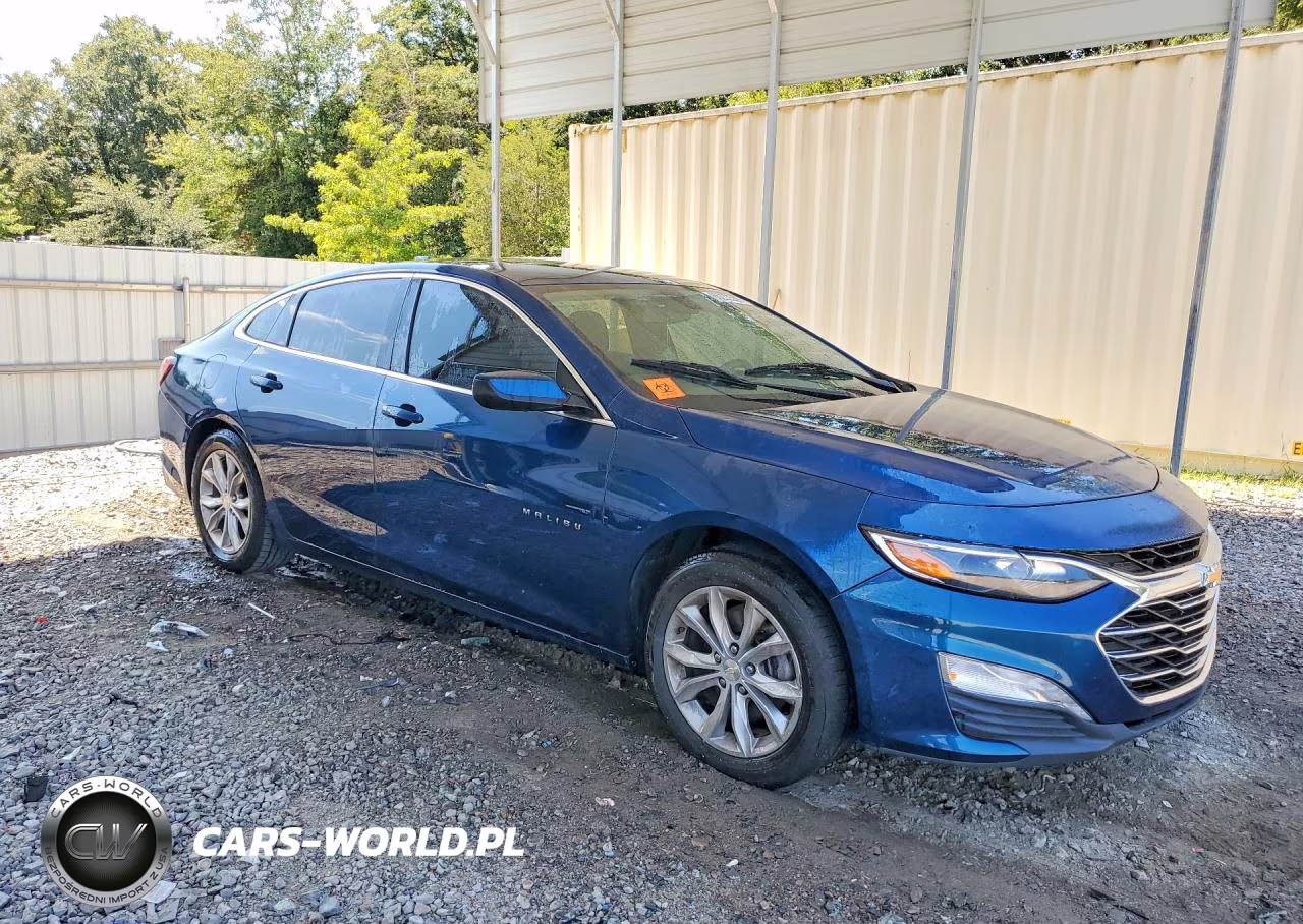 2019 Chevrolet Malibu Lt VIN:1G1ZD5ST0KF180251 - 4