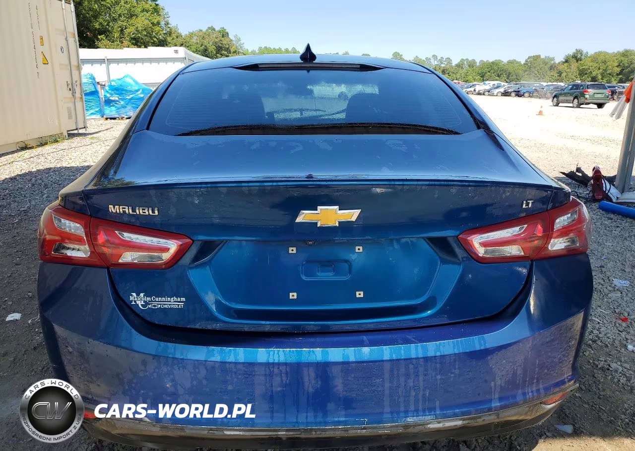 2019 Chevrolet Malibu Lt VIN:1G1ZD5ST0KF180251 - 6