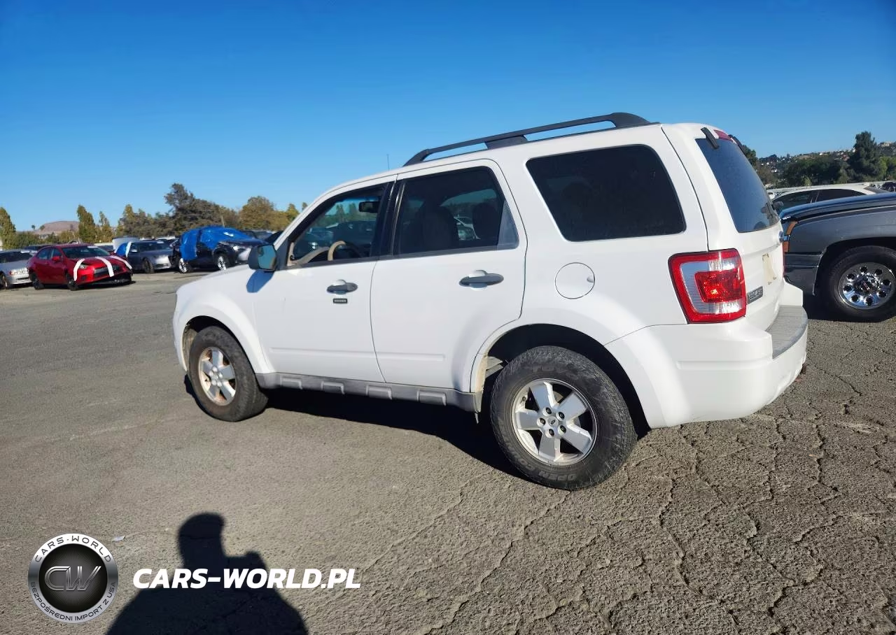 2010 Ford Escape Xlt VIN:1FMCU9DGXAKC89824 - 2