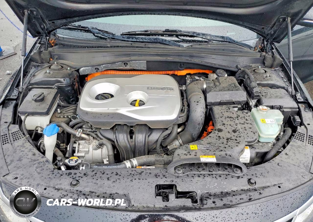 2020 Kia Optima Hybrid Ex VIN:KNAGU4LE5L5044582 - 11