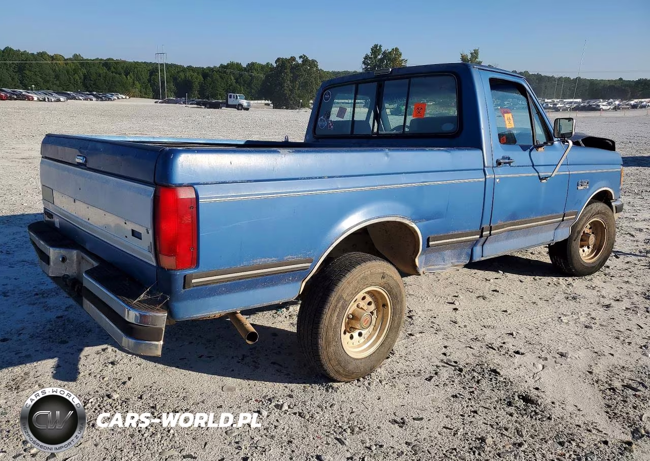 1991 Ford F150 VIN:1FTDF15Y3MNA75630 - 3