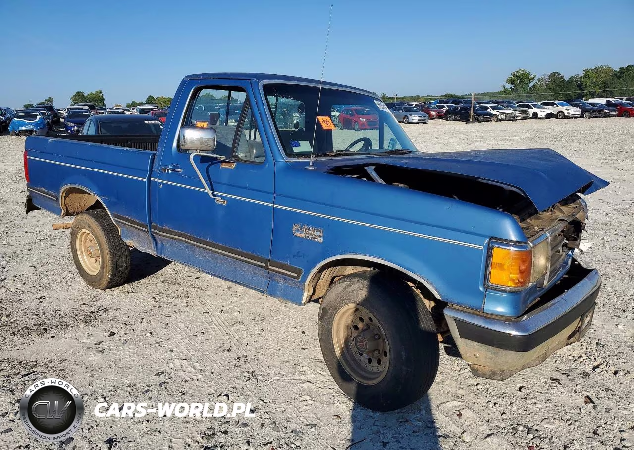 1991 Ford F150 VIN:1FTDF15Y3MNA75630 - 4